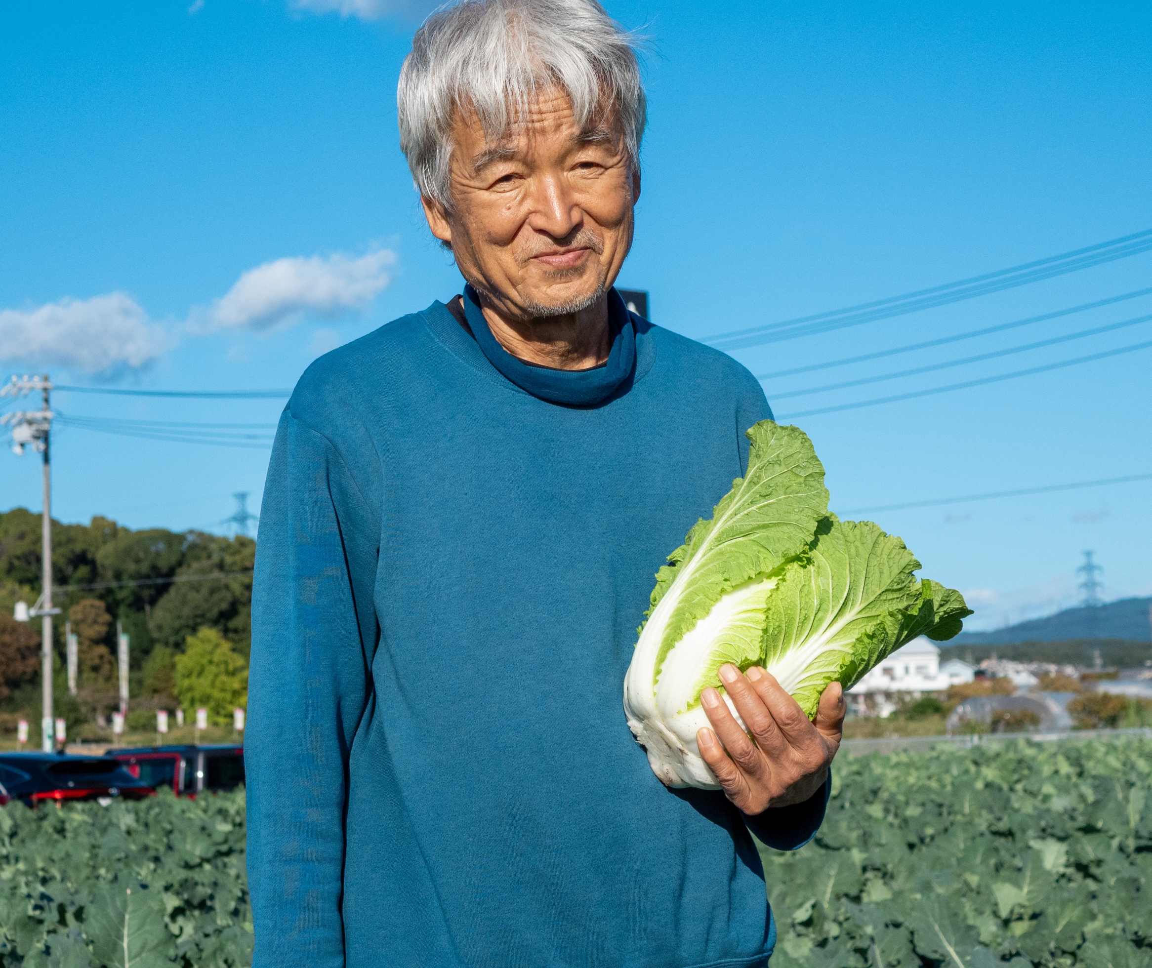 収穫した白菜を持つ農家さん